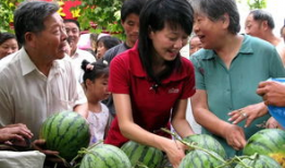 盐城网红吃瓜群众图片,街头热辣瞬间，揭秘网红生活点滴