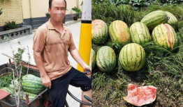 吃瓜网防走丢入口,轻松掌握，安全出行无忧