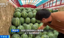 吃瓜报料网官网入口,官网入口带你探秘网络爆料新天地