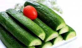 揭阳吃瓜网,带你领略潮汕美食的独特魅力