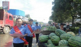 武都吃瓜网红事件,揭秘网络舆论的风暴与真相
