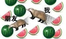 www吃瓜网top,热门话题盘点