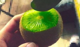 抖音各种网红吃瓜,揭秘幕后故事与热门话题