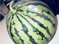 诸暨网红吃瓜,揭秘网络红人的真实一面