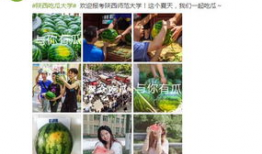 吃瓜网怎么登陆,吃瓜网登录攻略，畅享娱乐盛宴！
