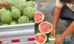 吃瓜网防走丢入口,轻松掌握，安全出行无忧