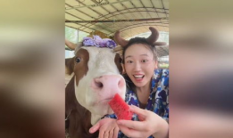 牛牛吃瓜网,揭秘娱乐圈幕后故事，带你走进明星真实生活