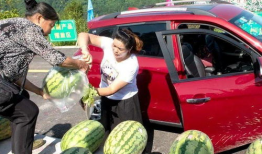 盐城网红吃瓜群众图片,街头热辣瞬间，揭秘网红生活点滴