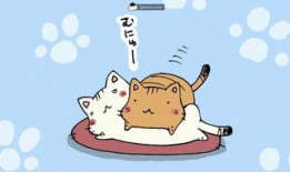 爱猫漫画,爱猫漫画里的温馨日常