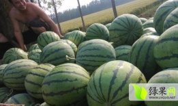 湘潭网红最新吃瓜新闻,揭秘幕后真相与热门事件
